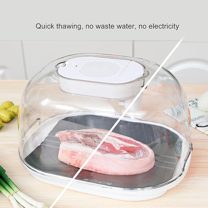 High-End Intelligent Defrosting Machine