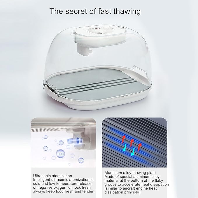 High-End Intelligent Defrosting Machine